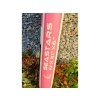 AAD Seastar 10' x 31" x 6" - 71B